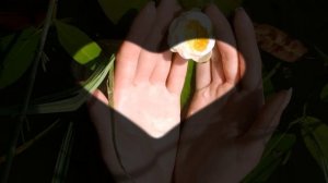 МИРРА Слайд-шоу Докучаева Александра