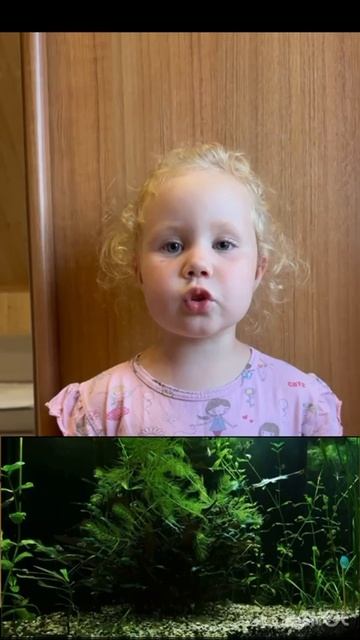 VID_20250724_200100_869