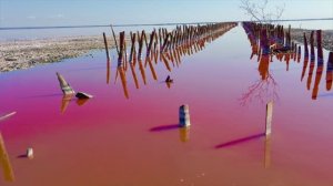 Выпуск № 9
"Розовое озеро. Саки"