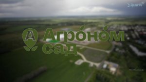 Где рождаются настоящие яблоки?