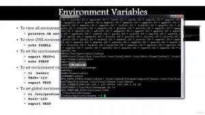 117 - Environment Variables