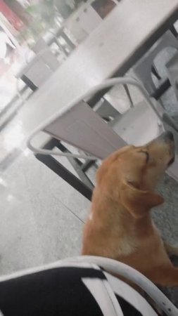 1000066025.mp4