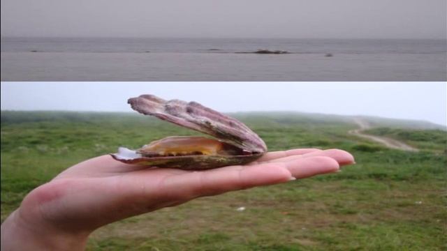 Приморские зарисовки