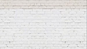 Afro-rusos explicados en un video