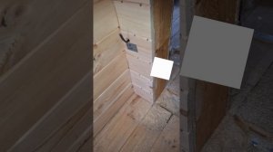 1000029972.mp4 (Собака смотрит на опиливание кромки пола 2-го этажа дома А-фрейм)