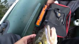 Моя рыбалка