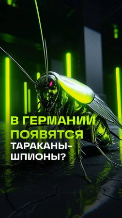 В Германии предложили разработать тараканов-шпионов для сбора разведывательных данных
