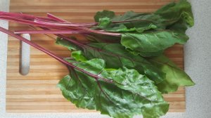 КОТЛЕТЫ ИЗ СВЕКОЛЬНЫХ ЛИСТЬЕВ