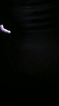 20250724_042801