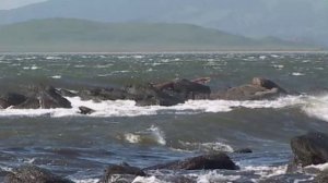 МОНТАЖ. Классное видео на английском о Природе