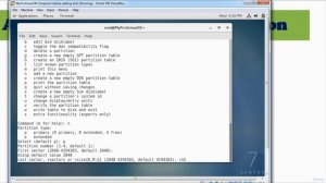 198 - Add Disk and Create Standard Partition