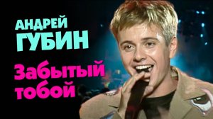 Андрей Губин - Забытый тобой