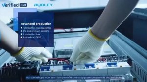Audley official RUS 2025