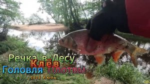 КЛЁВ НА ДОНКУ ТРОФЕЙНАЯ ПЛОТВА ЛЕЩ ГОЛАВЛЬ ЛЕСНАЯ РЕЧКА ГЛУБИНА ПО КОЛЕНО