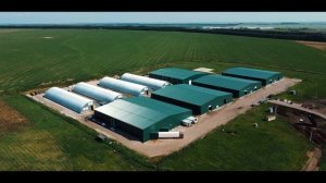 Уборка картофеля, сезон 2025