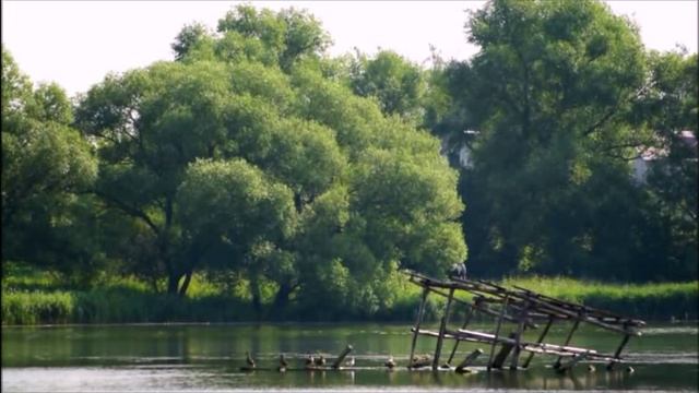 Пройдут года...