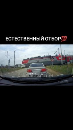 Естественный отбор