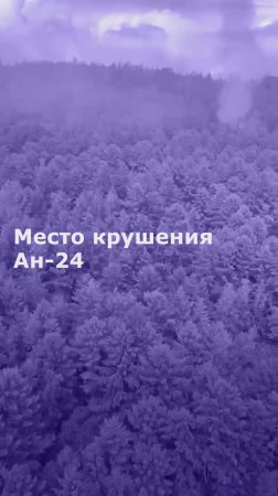 Место крушения Ан-24
