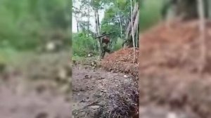 Камбоджа и Таиланд начали обстреливать друг друга на границе