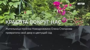 КРАСОТА ВОКРУГ НАС