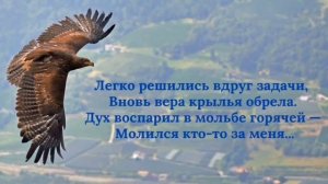 VID_20250724_200016_835.mp4