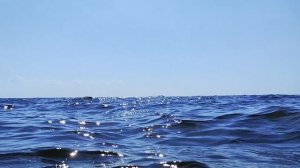 Побережье Балтийского моря в Сестрорецке