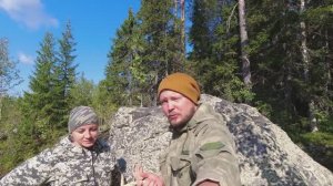 ГРИБЫ ВЕЗДЕ. В ЛЕС ЗА ГРИБАМИ. СБОР ВОЛНУШЕК. СОБИРАЕМ ПОДОСИНОВИКИ. ГРИБЫ ПОШЛИ.