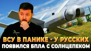 ВСУ В ПАНИКЕ - У Русских появился БПЛА с Солнцепеком (1080p)