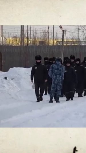 Владимир Курский - "Запретки лагерей".Премьера песни и клипа из альбома "Карты, деньги, два ствола"