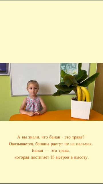 2_5195351488175568248