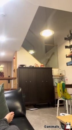 Подпишись 👉 https://vk.com/ykrasheniy_iz_kamny