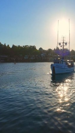 🎣 Pelican – одно из самых старых деревянных рыболовных судов на западном побережье