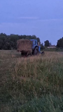 Синий трактор везет сено
