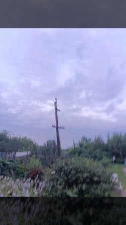 1000017902.mp4