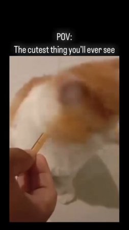 1000065659.mp4