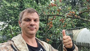 Как увеличить урожай абрикосов? Сколько собрали с одного дерева.