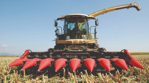 Жатка CAPELLO DIAMANT