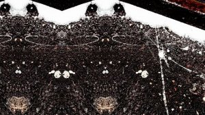 Хрусталящая Обмиль Йагра