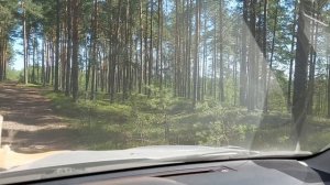 На Subaru Forester через Коровий Хребет. 2025