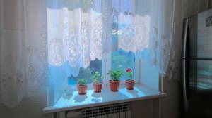 БОГДАНА ХМЕЛЬНИЦКОГО