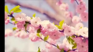 Мантра на здоровье ребенка. Sadhana Sargam (Well-Being for the new born) Papnashni Mantra 🙏💢