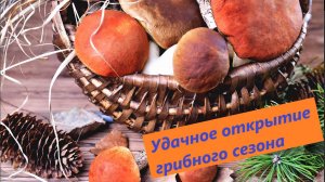 Удачное открытие грибного сезона💪