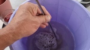 Бакопу и Питунию лечим от гнили.
