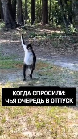 Отпуск