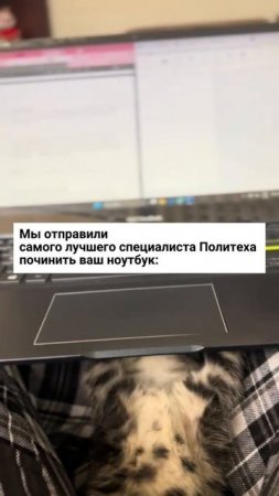 Поставьте ему пять звезд, пожалуйста, он старался