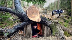 Секретная землянка для выживания под упавшим деревом.