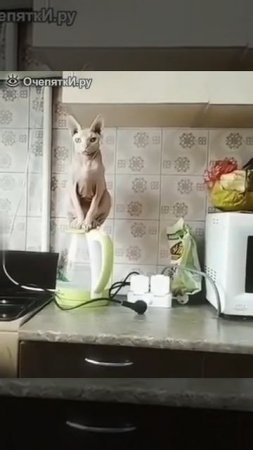 Хватит пить чай!#сезонконтентаRUTUBE