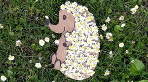 Детские поделки, учимся делать ежика из ромашек. Игрушкин ТВ