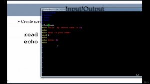 129 - Input and Output of Script