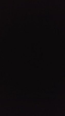 1000000641.mp4